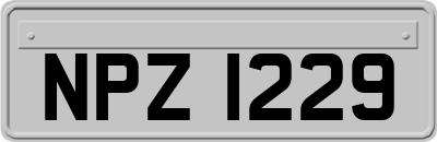 NPZ1229