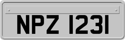 NPZ1231