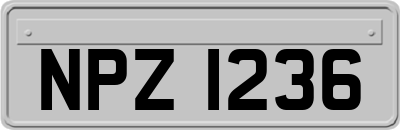 NPZ1236