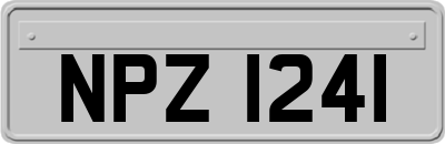 NPZ1241