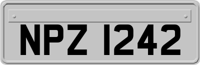 NPZ1242