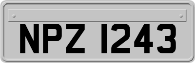 NPZ1243