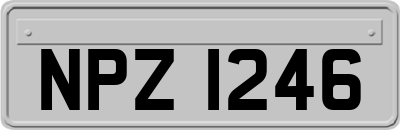 NPZ1246