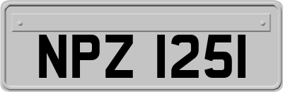 NPZ1251