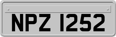 NPZ1252
