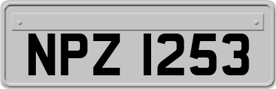 NPZ1253