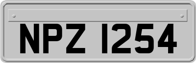 NPZ1254