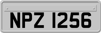 NPZ1256
