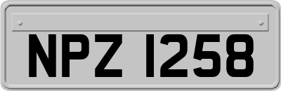 NPZ1258