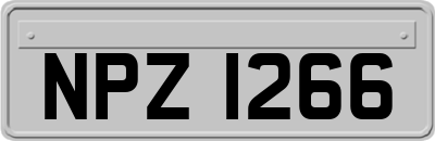 NPZ1266