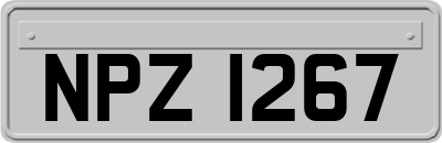 NPZ1267
