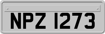 NPZ1273