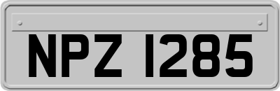 NPZ1285