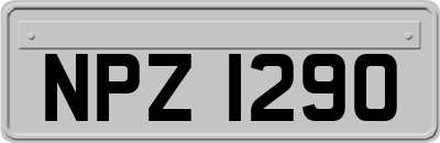 NPZ1290