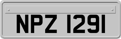 NPZ1291