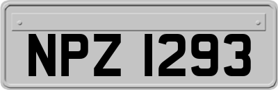 NPZ1293