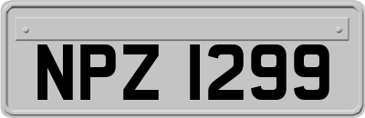 NPZ1299