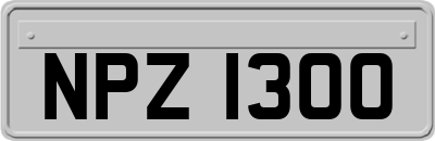 NPZ1300