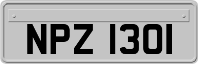 NPZ1301
