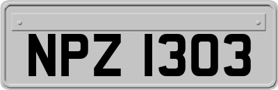 NPZ1303