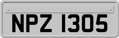 NPZ1305