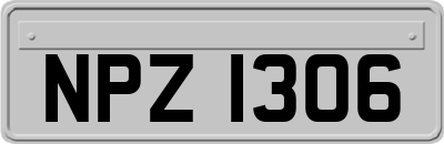 NPZ1306