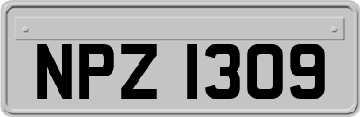 NPZ1309