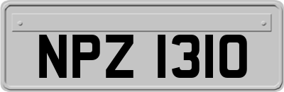 NPZ1310