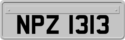 NPZ1313