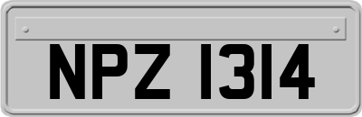 NPZ1314