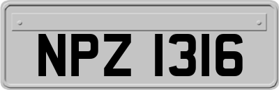 NPZ1316