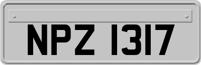 NPZ1317