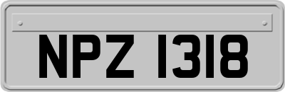 NPZ1318