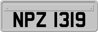 NPZ1319