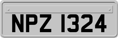 NPZ1324