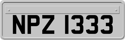 NPZ1333