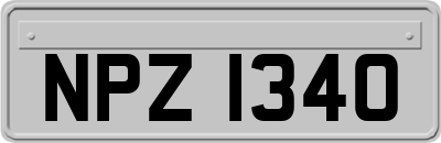 NPZ1340