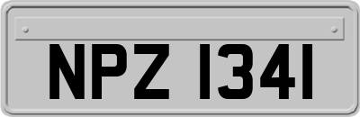 NPZ1341