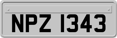 NPZ1343