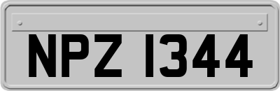 NPZ1344
