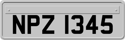 NPZ1345