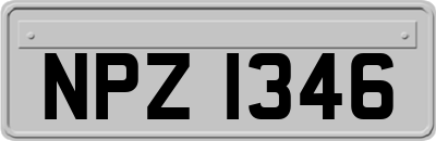 NPZ1346