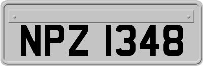 NPZ1348