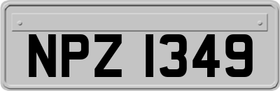 NPZ1349