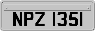 NPZ1351