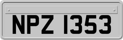 NPZ1353