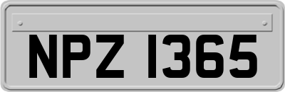 NPZ1365
