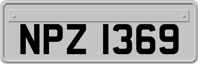 NPZ1369