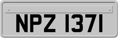 NPZ1371