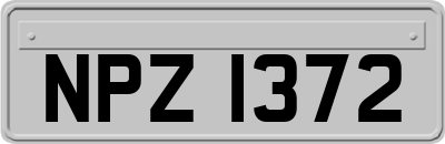 NPZ1372